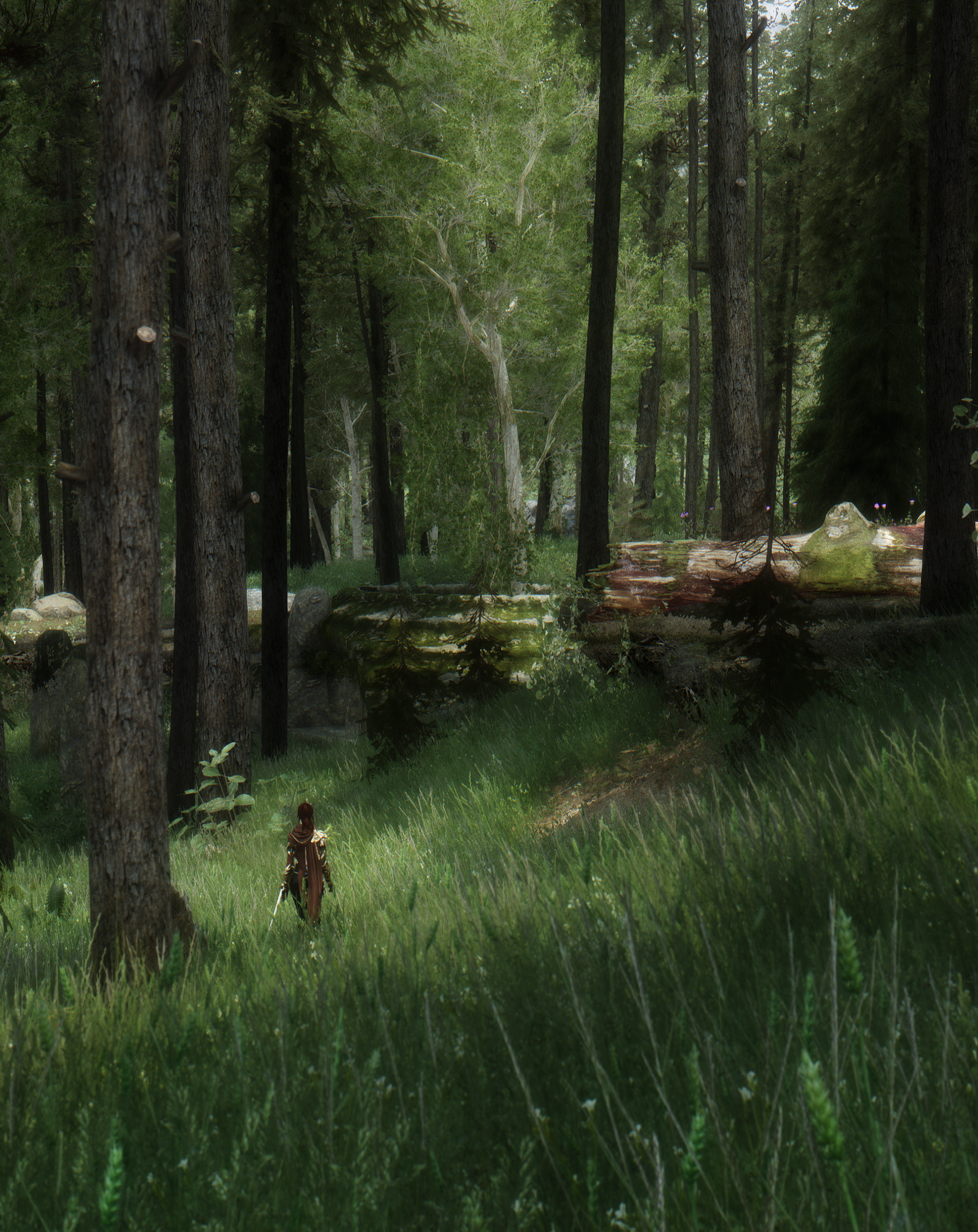 The Elder Scrolls V: Skyrim by DavidJedi