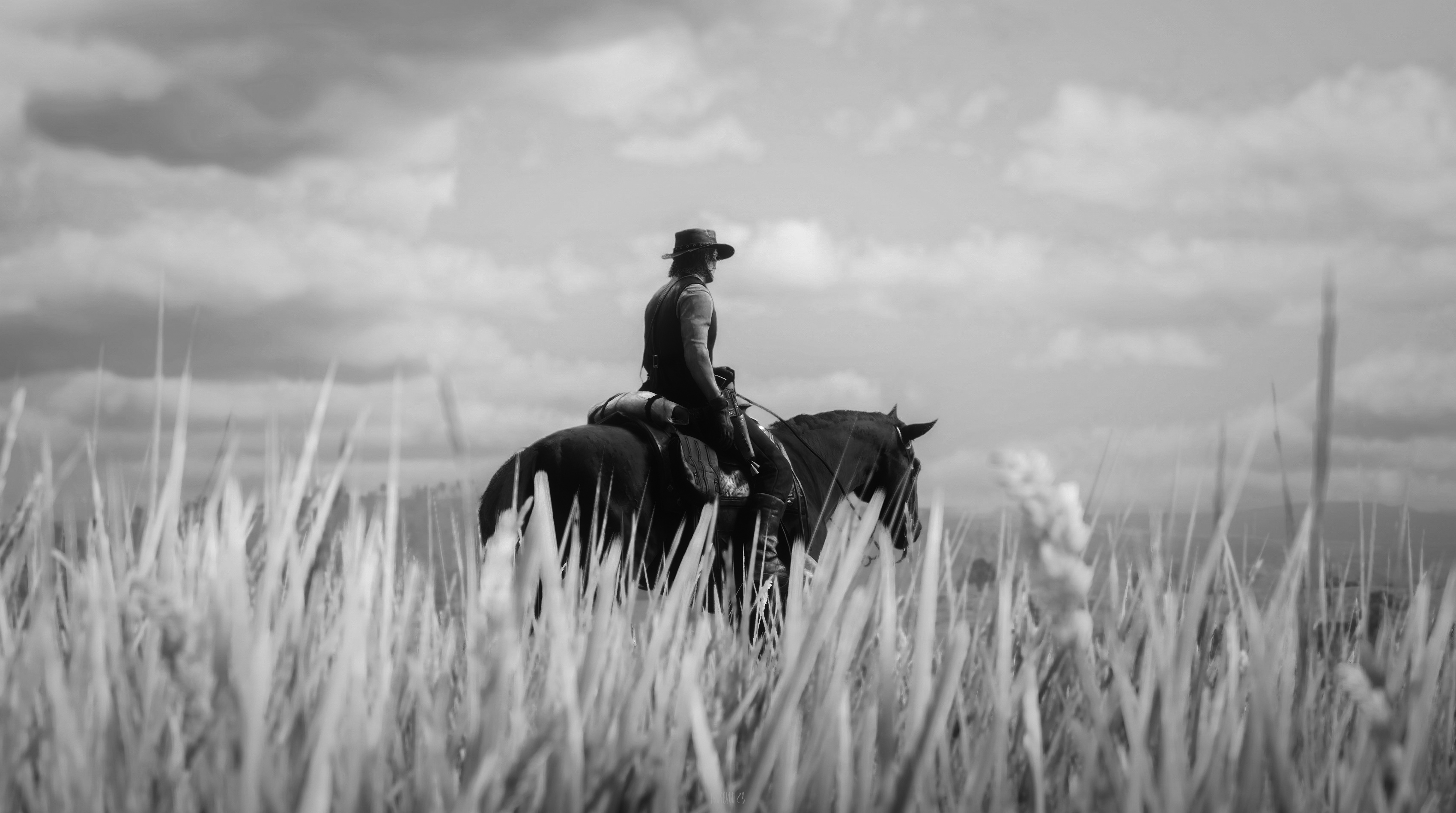 Red Dead Redemption 2 by fr0sent <3