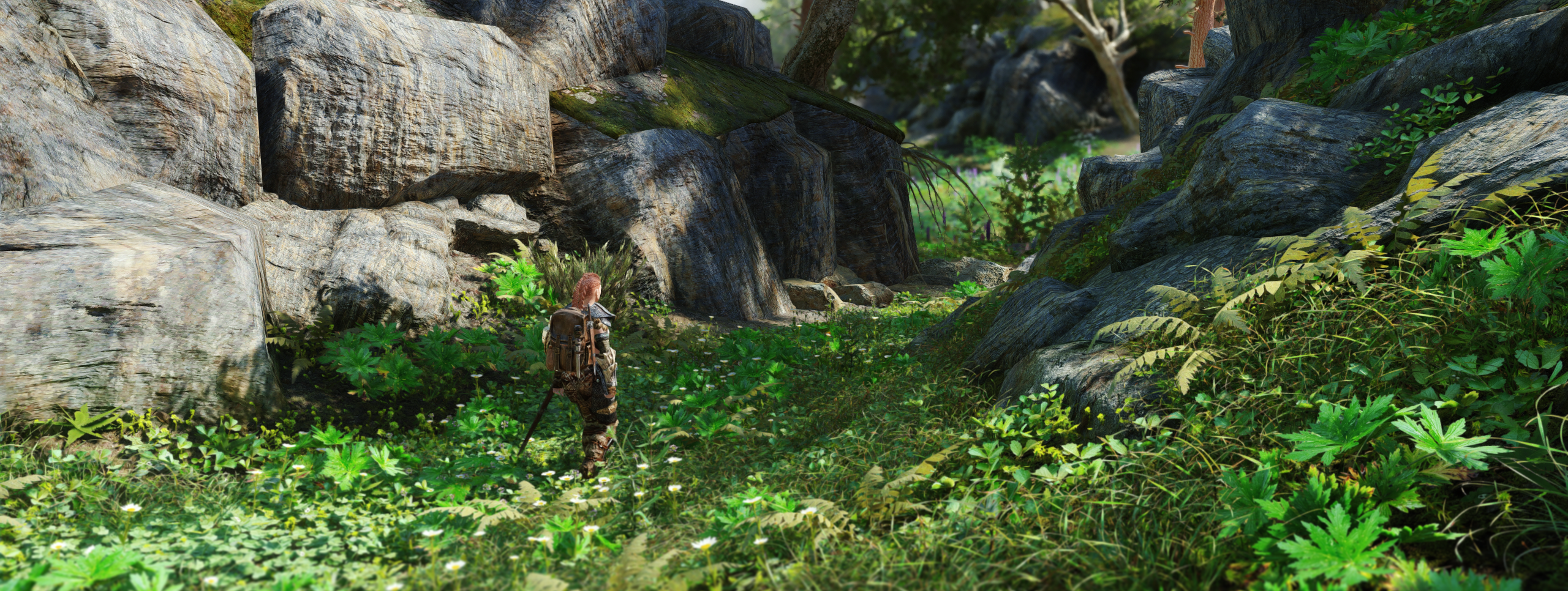 The Elder Scrolls V: Skyrim by Napoleonofthestump