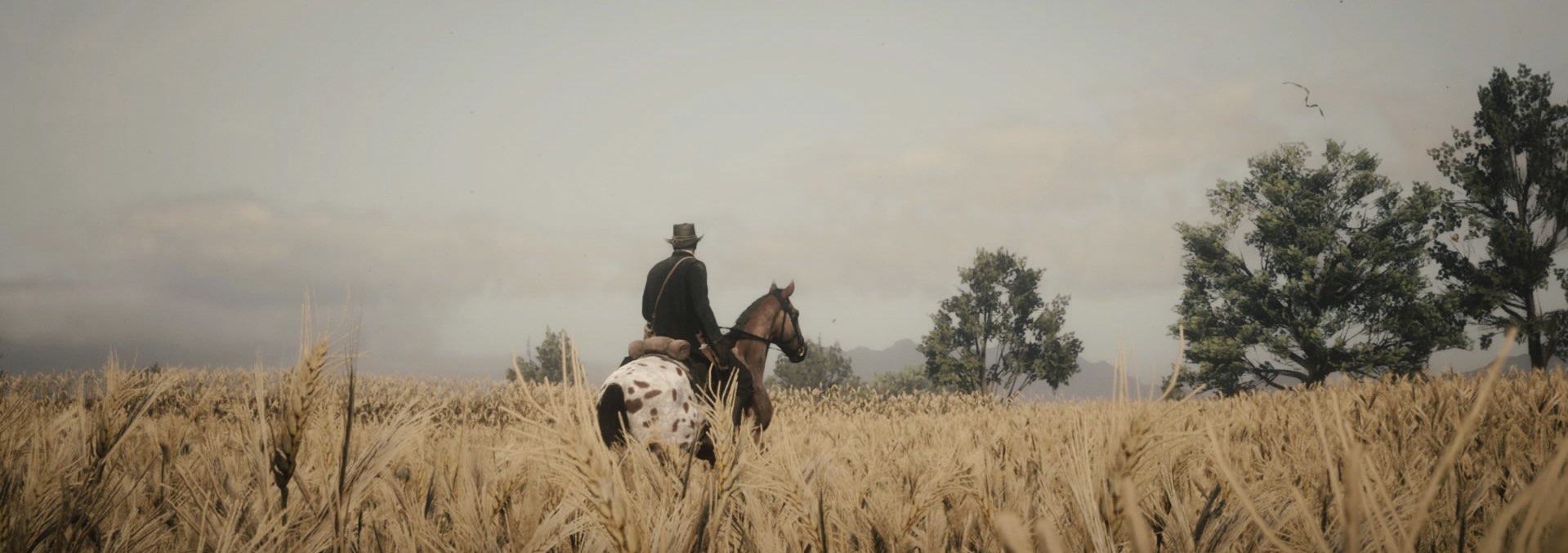 Red Dead Redemption 2 by gluty