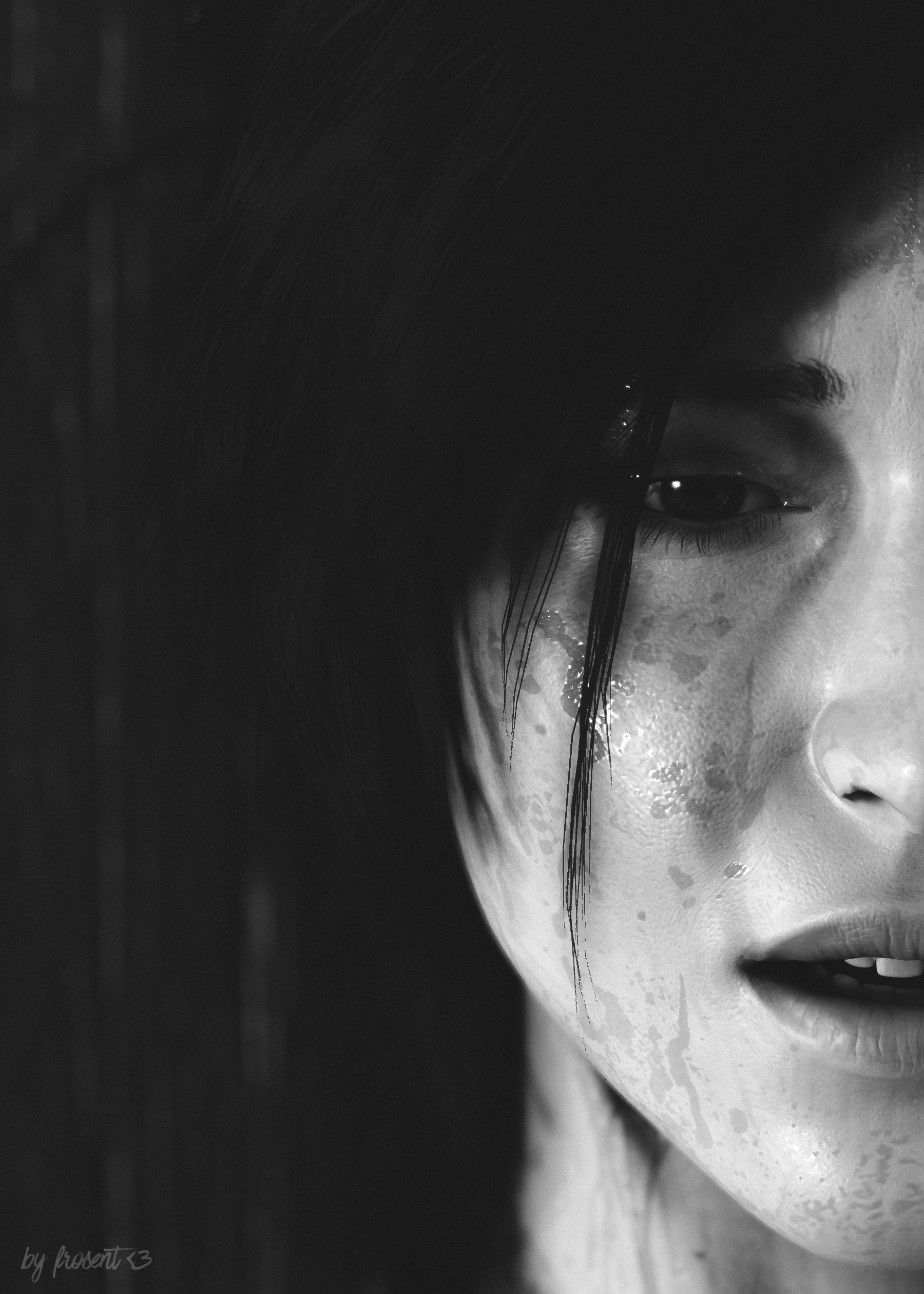 Shadow of the Tomb Raider by fr0sent <3