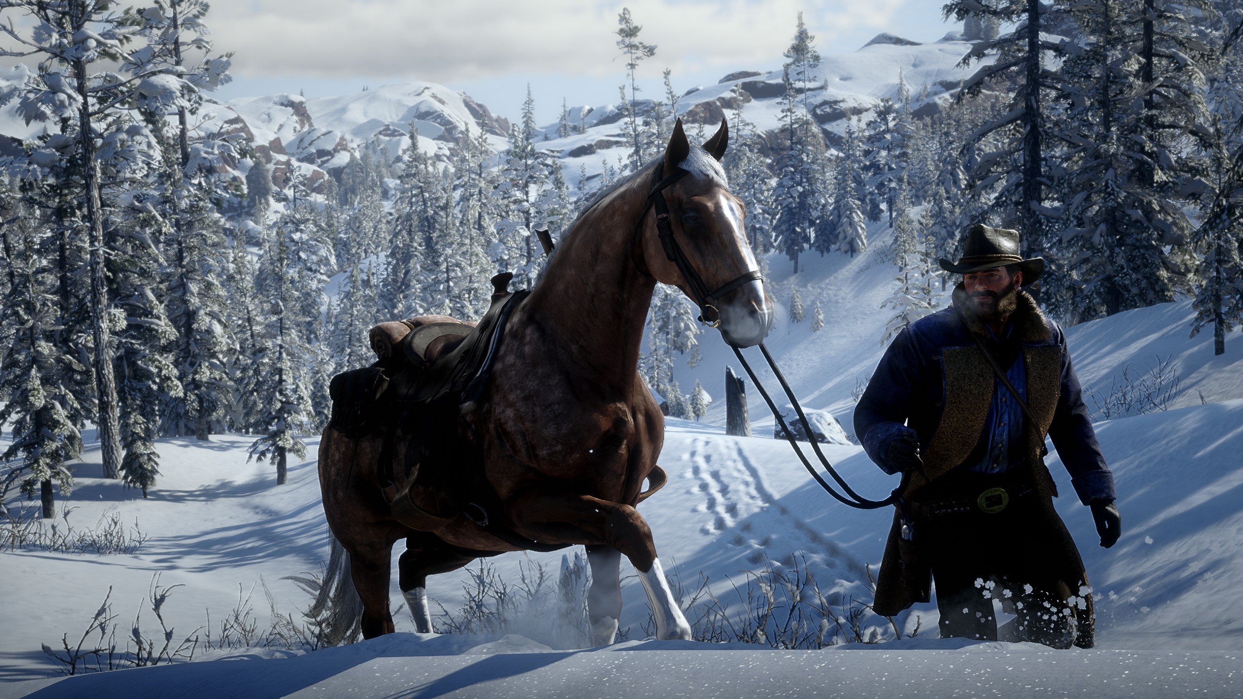 Red Dead Redemption 2 by RipVanWinkle
