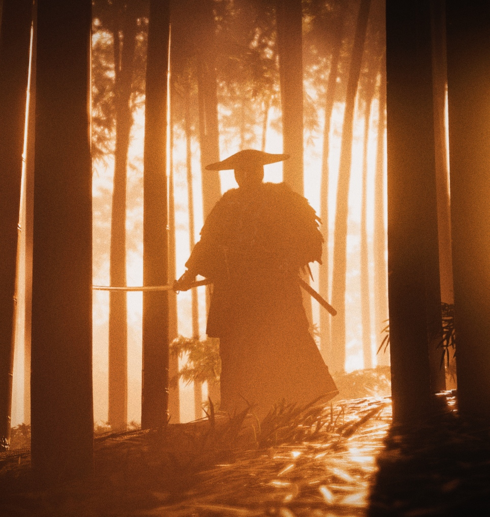 Ghost of Tsushima by Empty Field