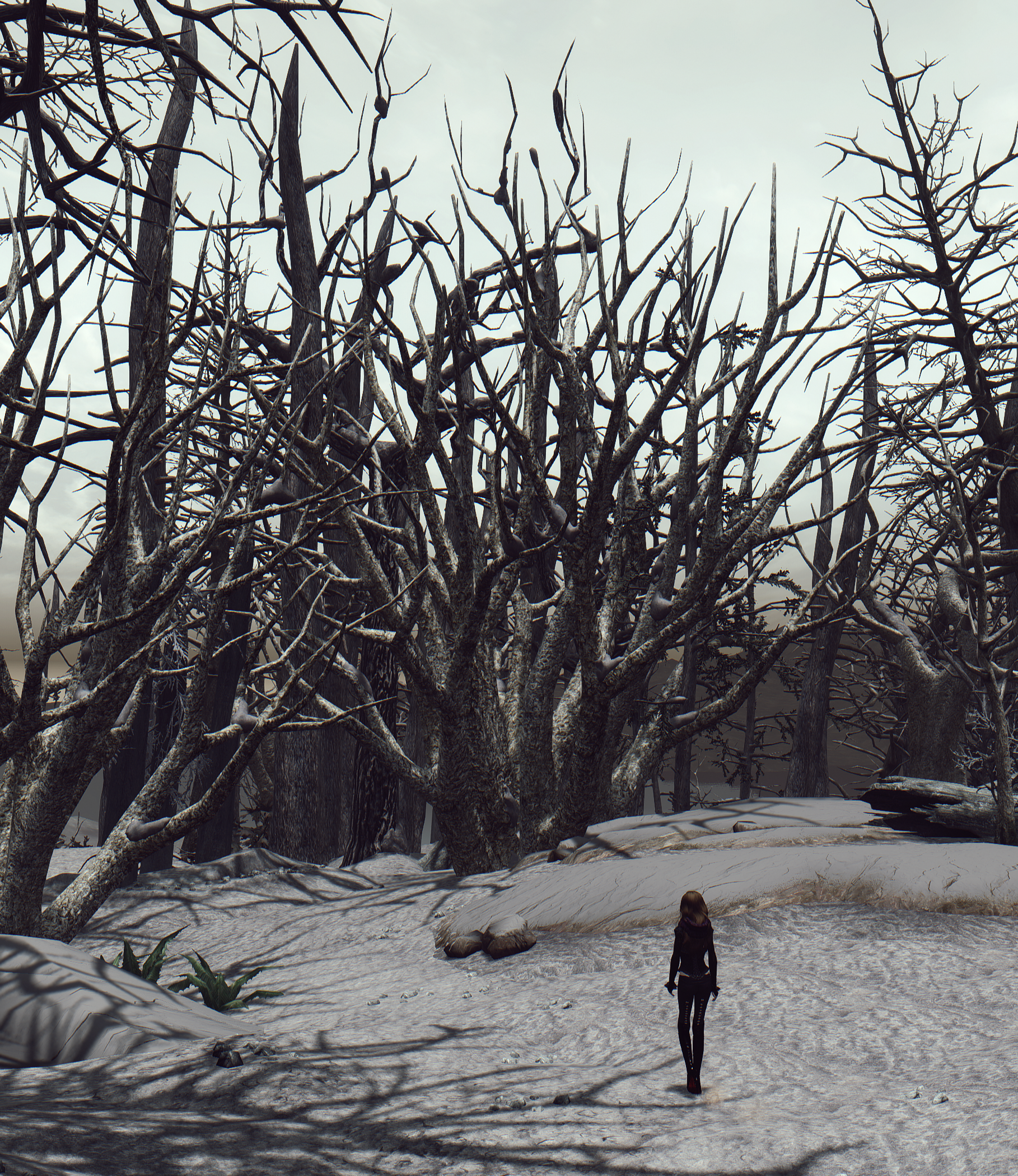 The Elder Scrolls V: Skyrim by FuneraLL