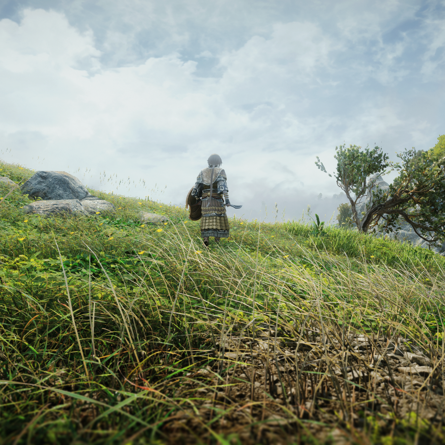 The Elder Scrolls V: Skyrim by Napoleonofthestump