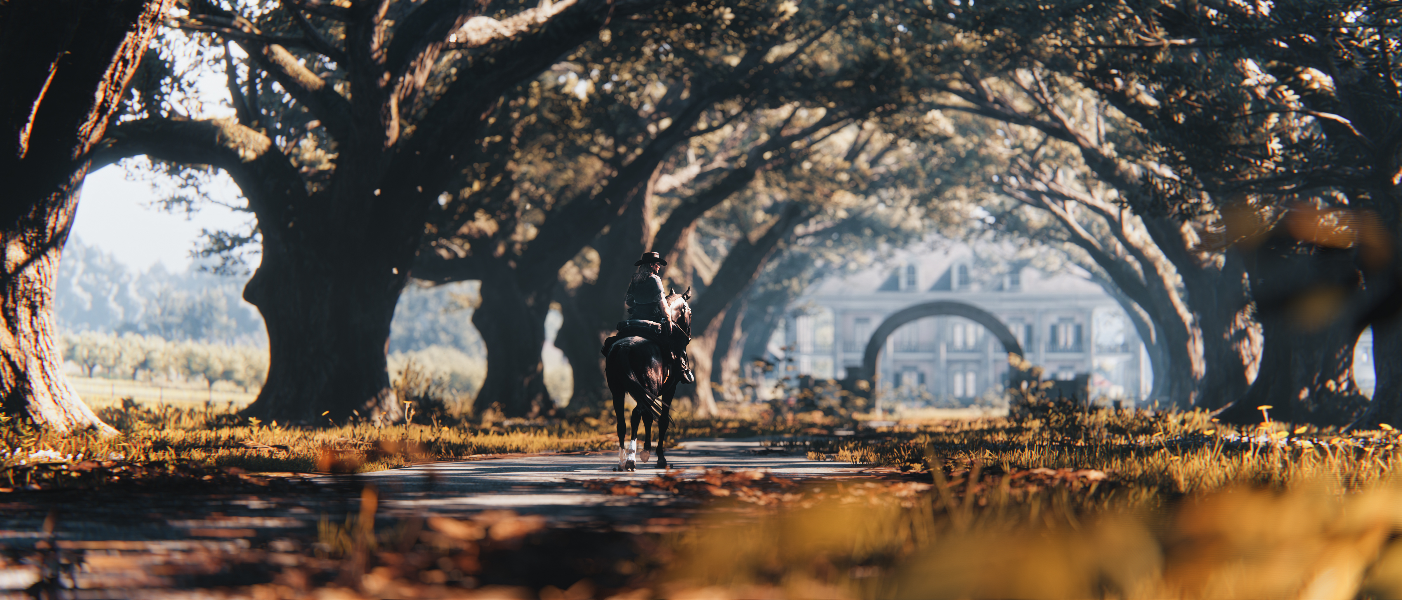 Red Dead Redemption 2 by Sul