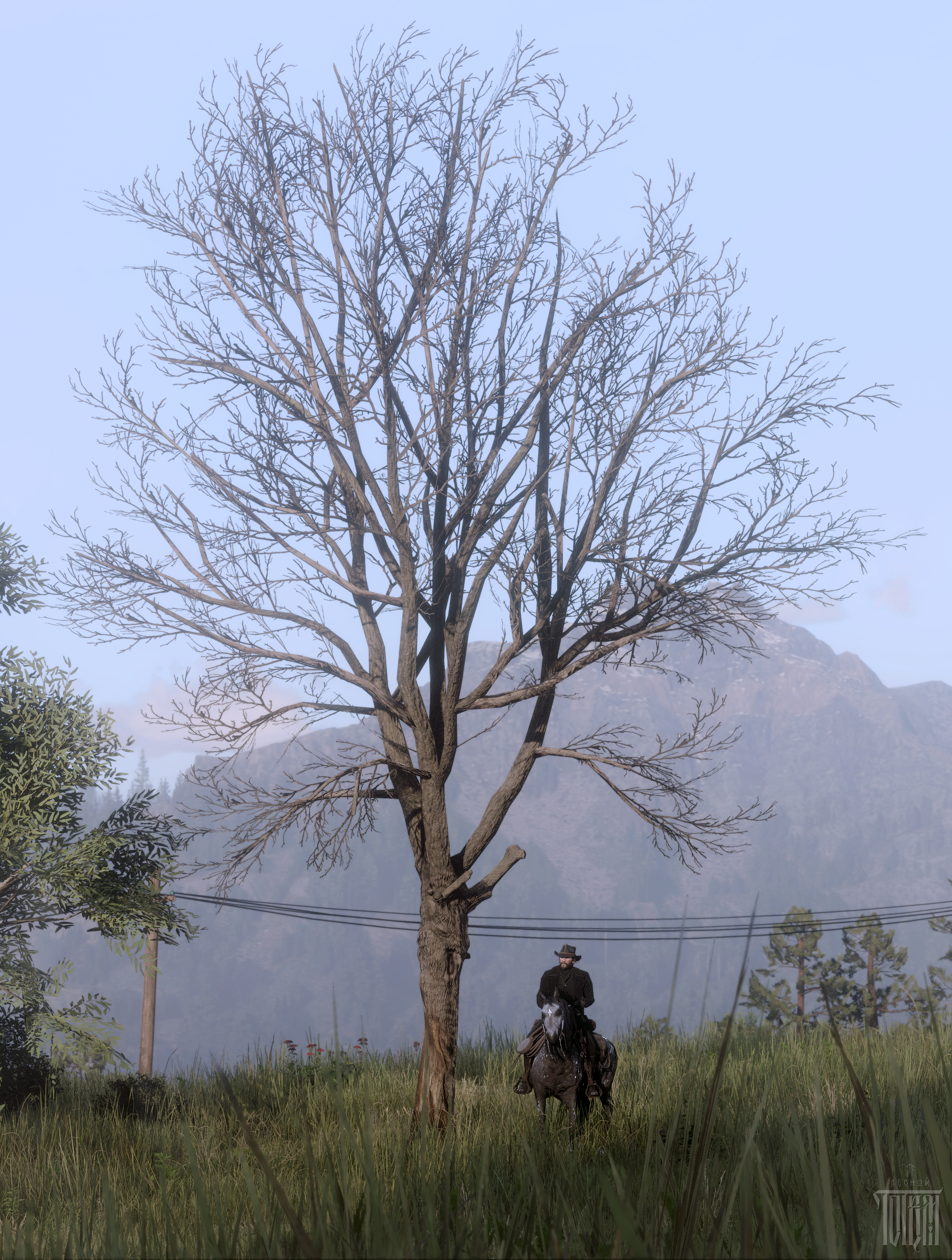 Red Dead Redemption 2 by Forest Totem