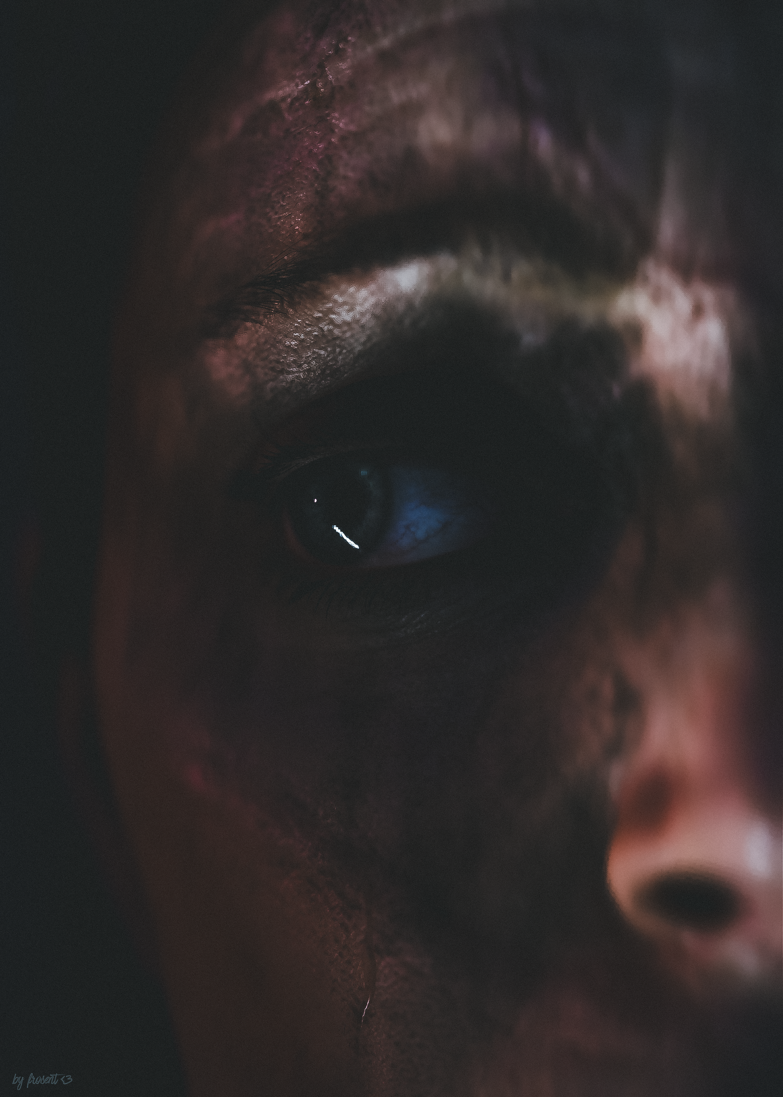 Senua’s Saga Hellblade 2 by fr0sent <3