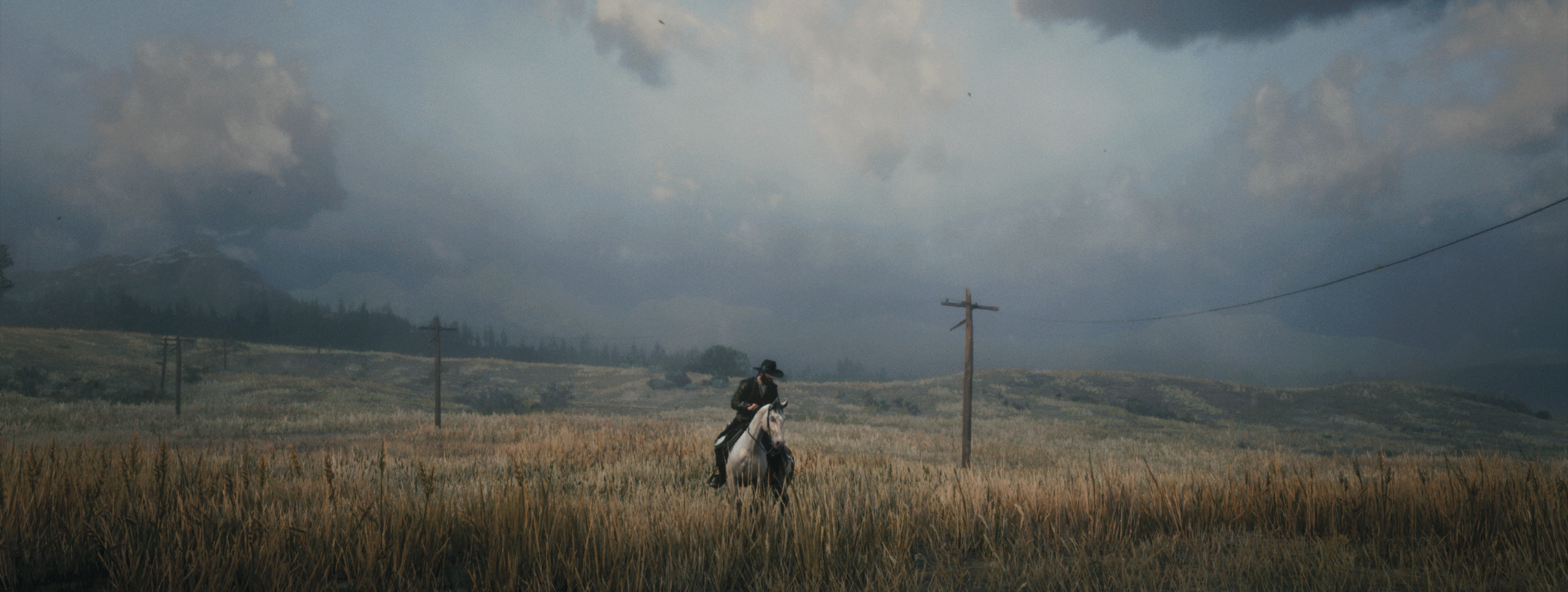 Red Dead Redemption 2 by Napoleonofthestump