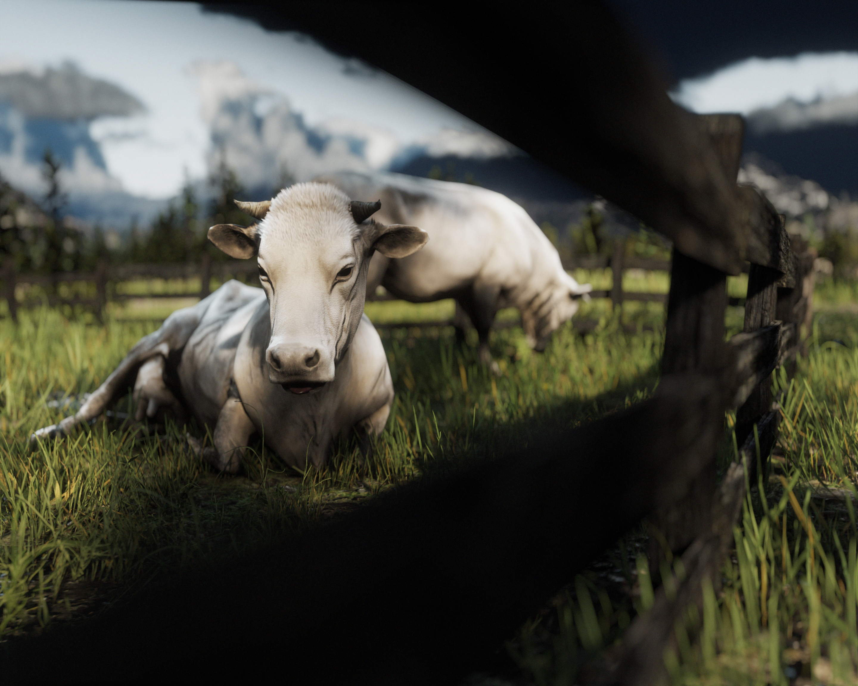 Red Dead Redemption 2 by Aaran