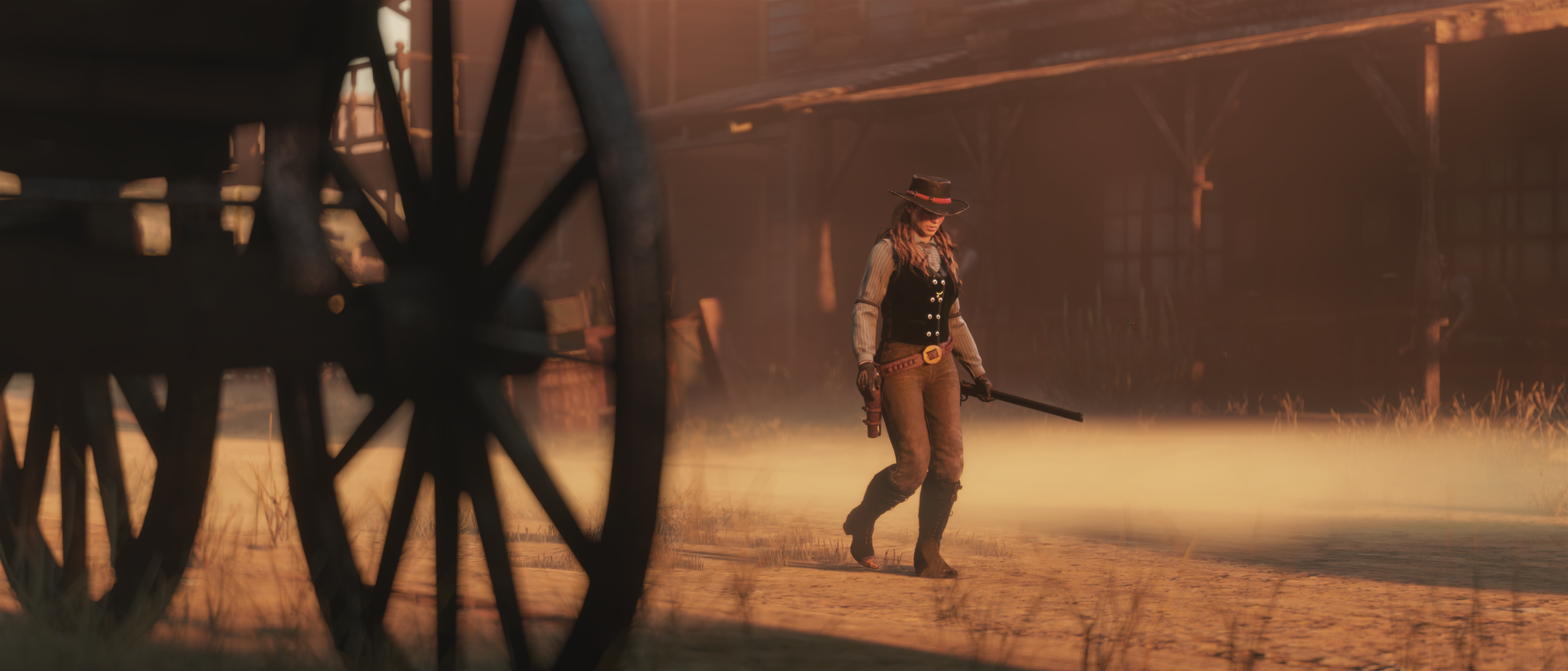 Red Dead Redemption 2 by Sul