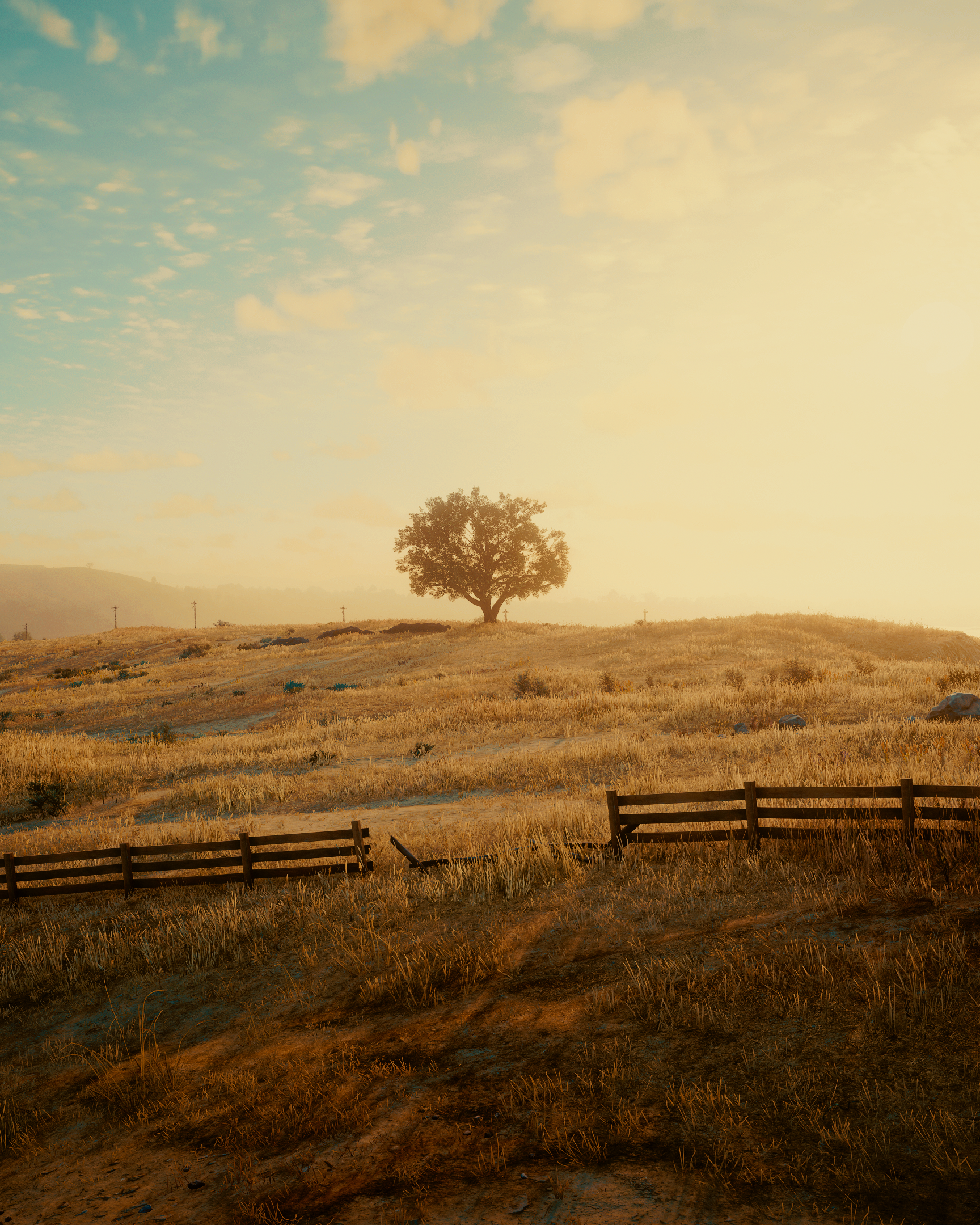 Red Dead Redemption 2 by Magdalena
