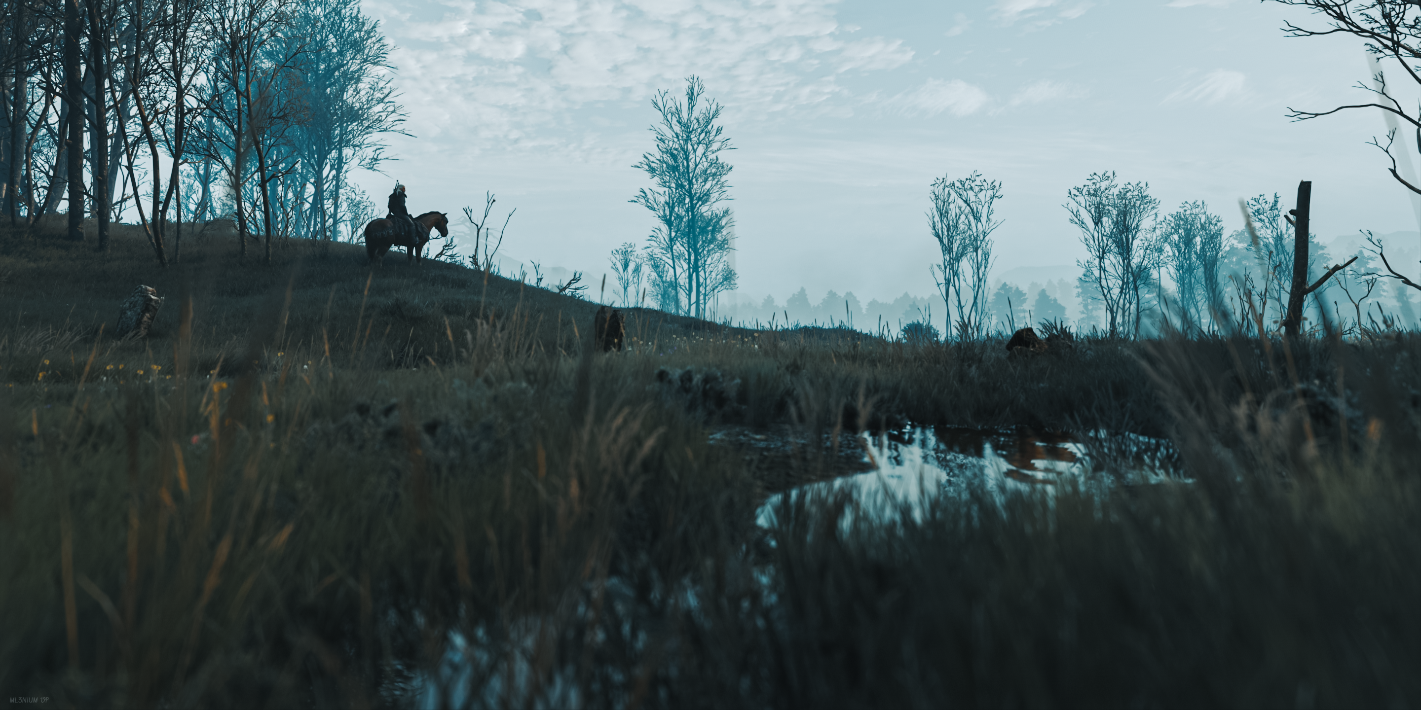 The Witcher 3: Wild Hunt by Ml3nium