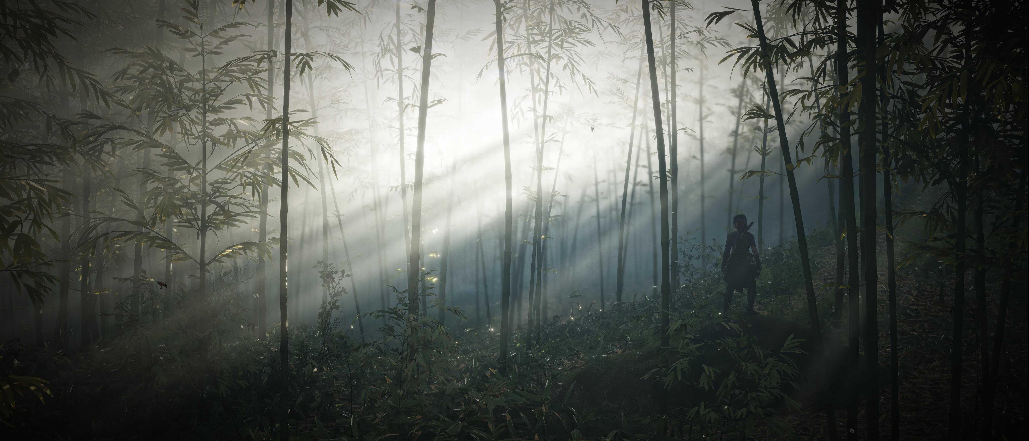 Assassin's Creed Shadows by K-Man