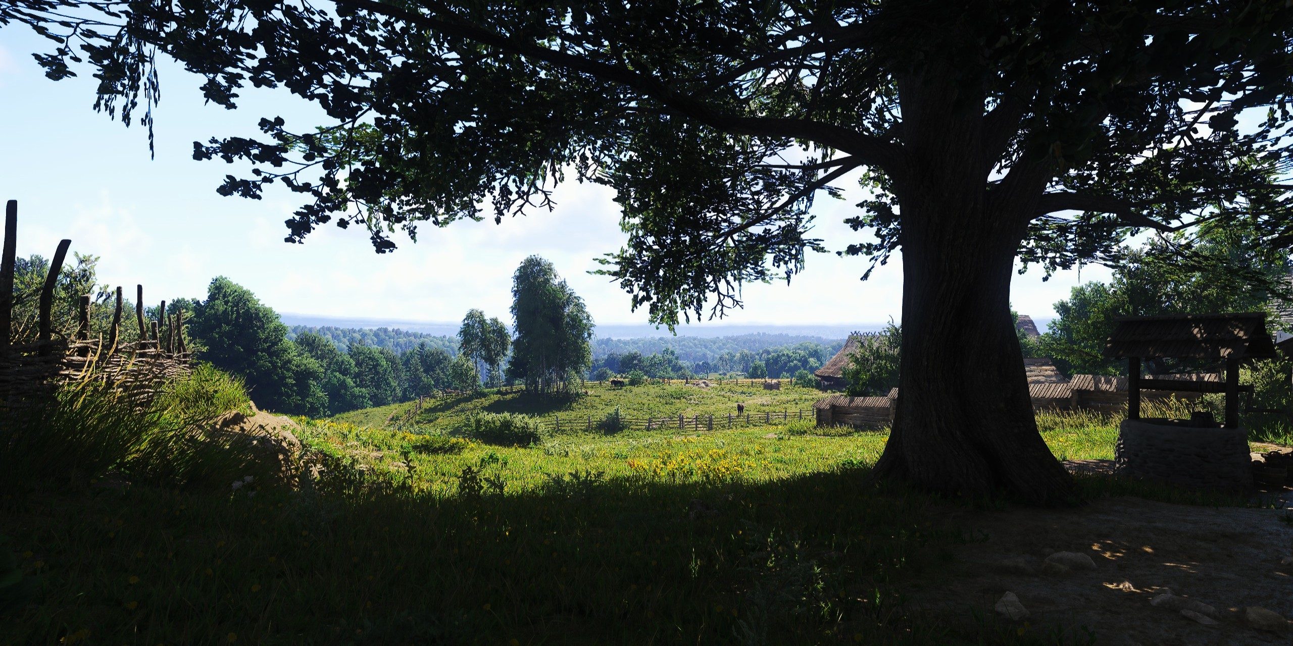 Kingdom Come: Deliverance II by RipVanWinkle