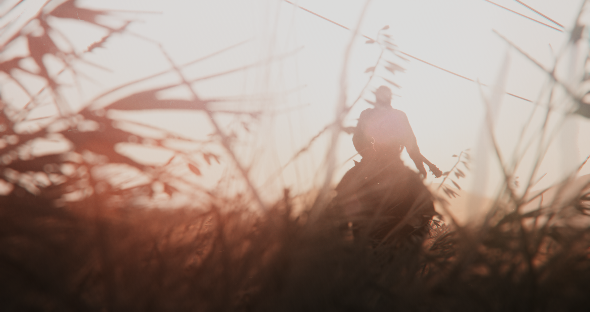 The Last of Us Part II by Cookie The Wanderer