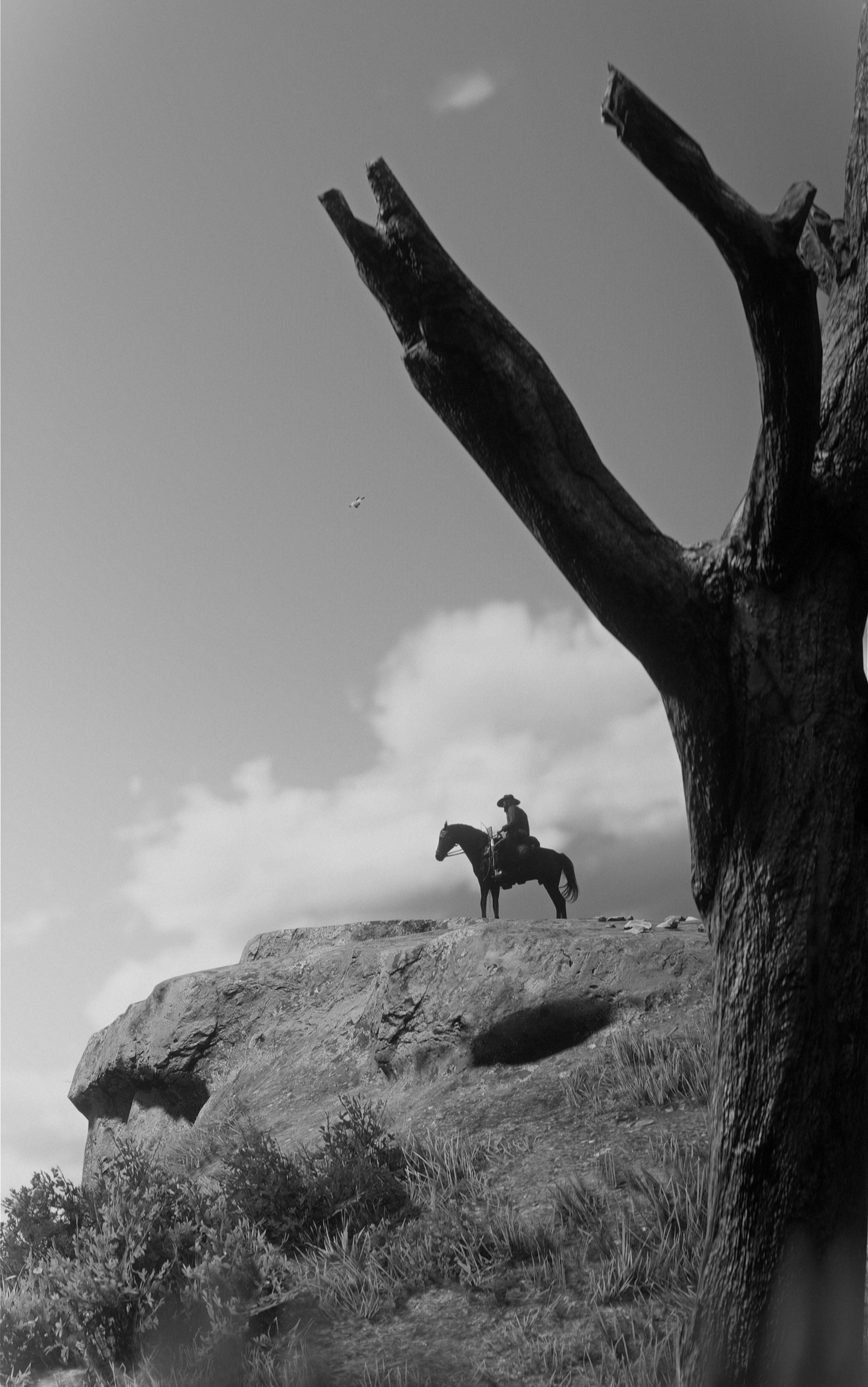 Red Dead Redemption 2 by Guilherme Wildemberg