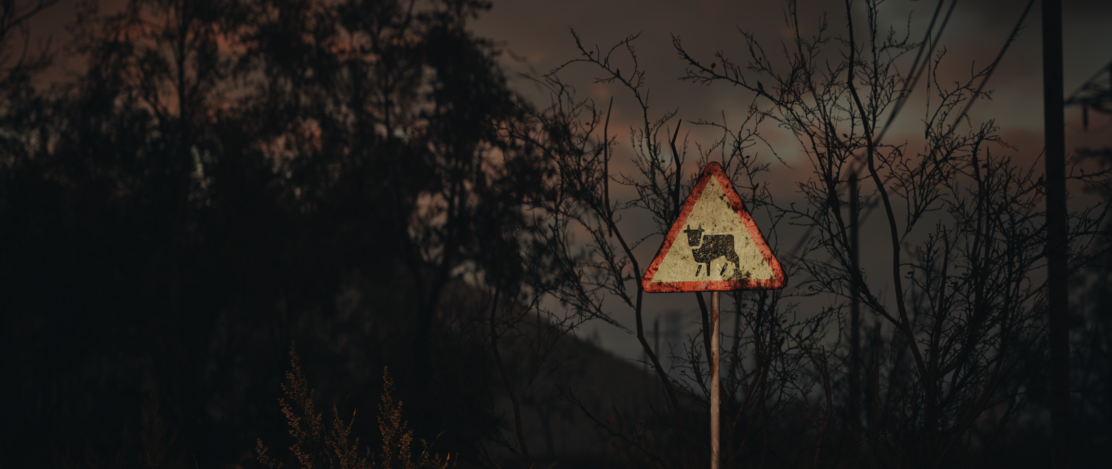 S.T.A.L.K.E.R. 2: Heart of Chornobyl by Revendi