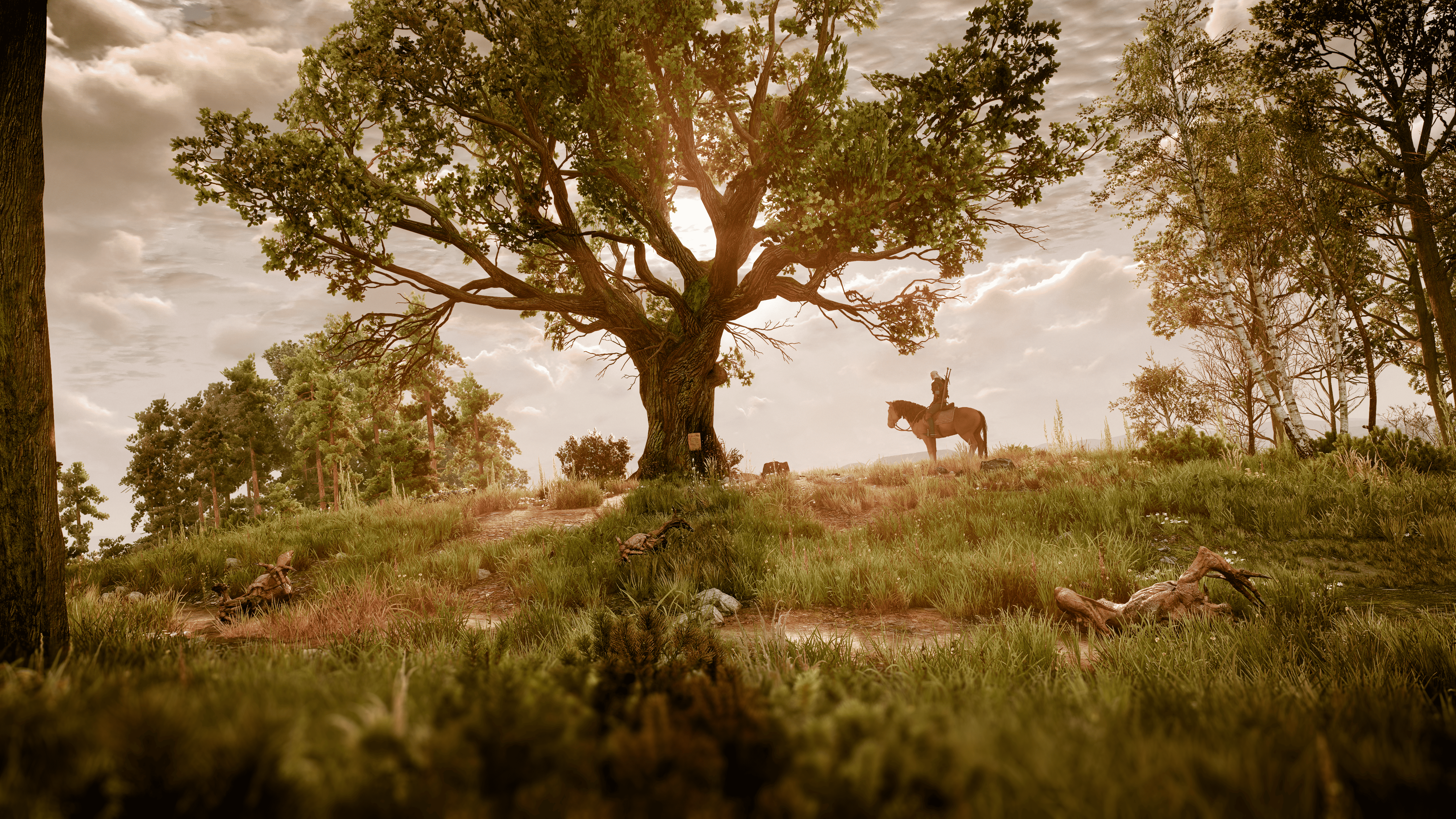 The Witcher 3: Wild Hunt by 𝙉𝙤𝙠𝙩𝙞𝙯