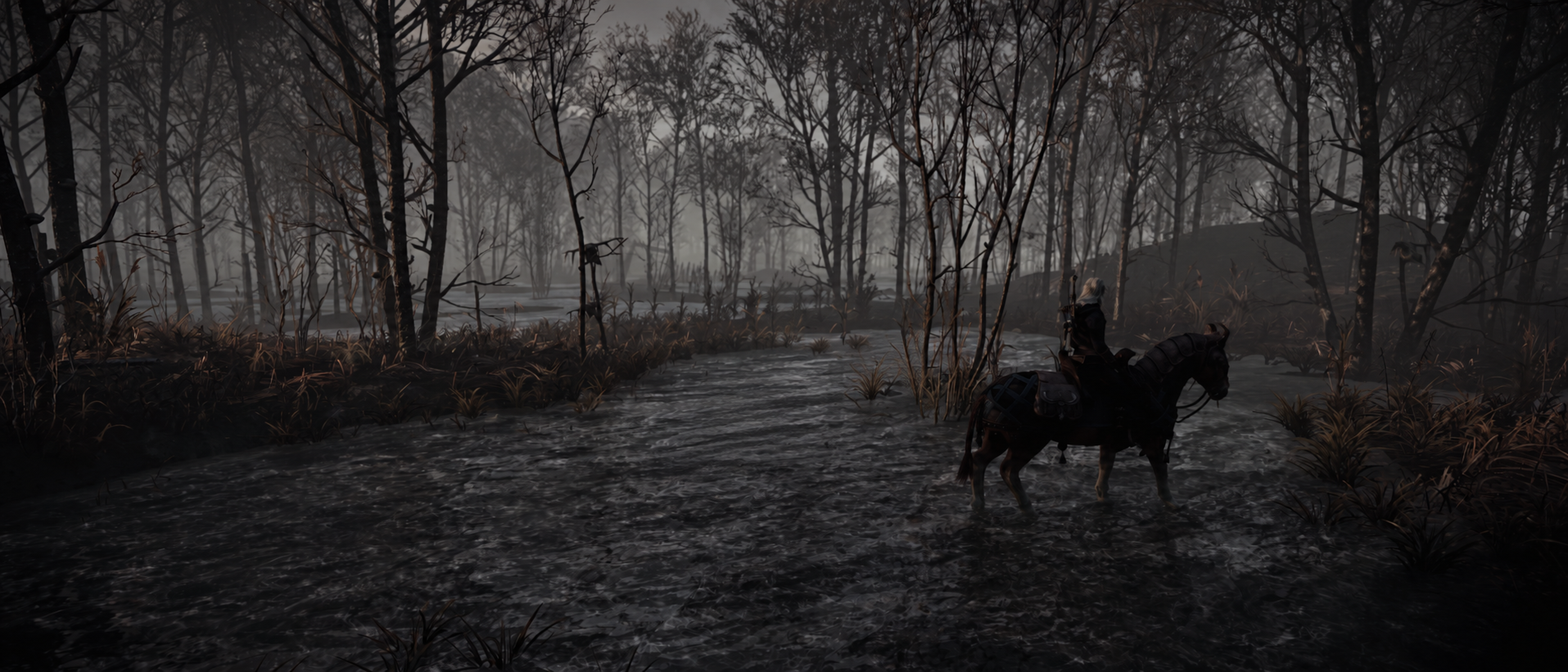 The Witcher 3: Wild Hunt by Ghiles