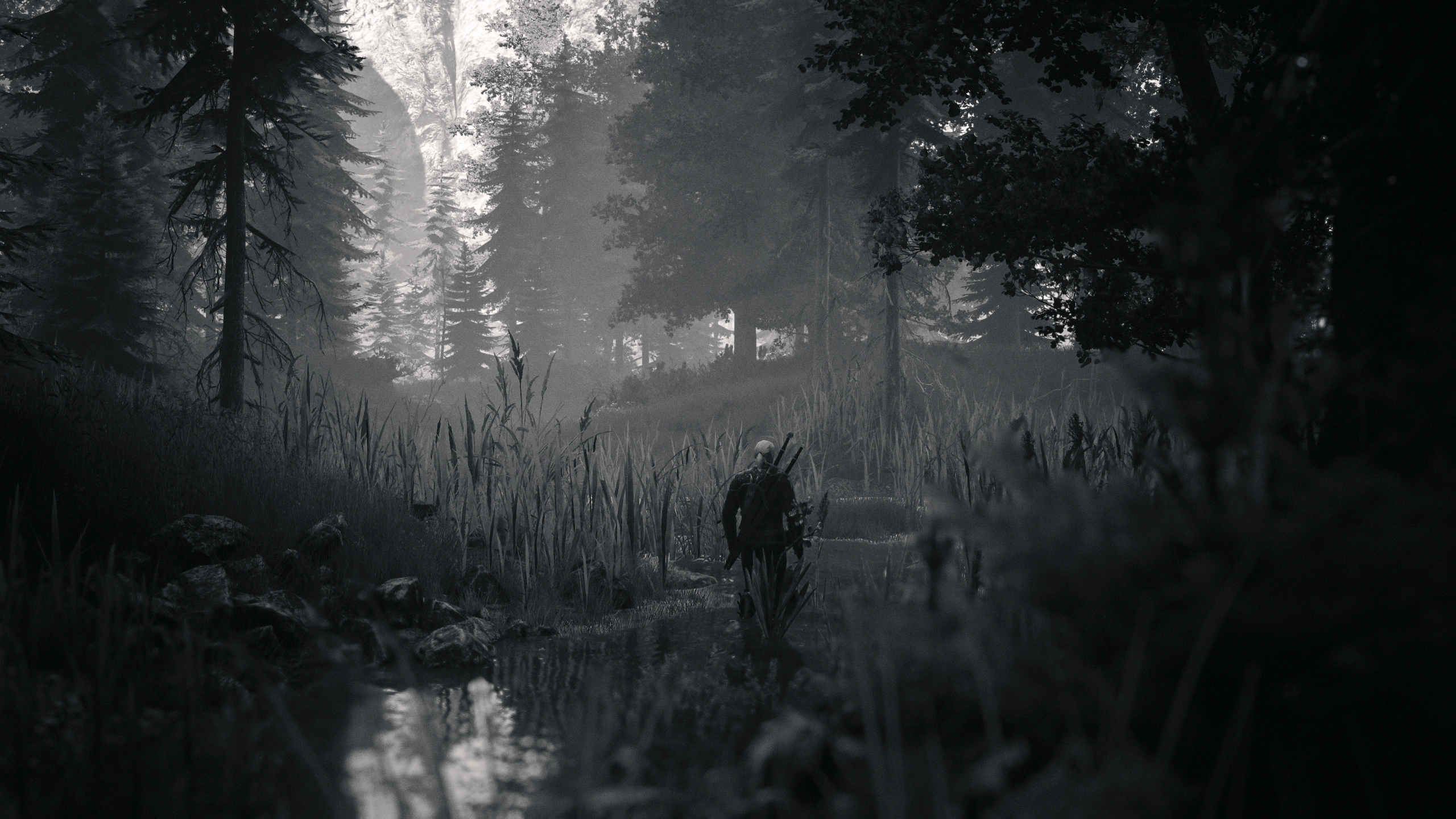 The Witcher 3: Wild Hunt by ᴍᴏɴᴜʟɪᴛʜ