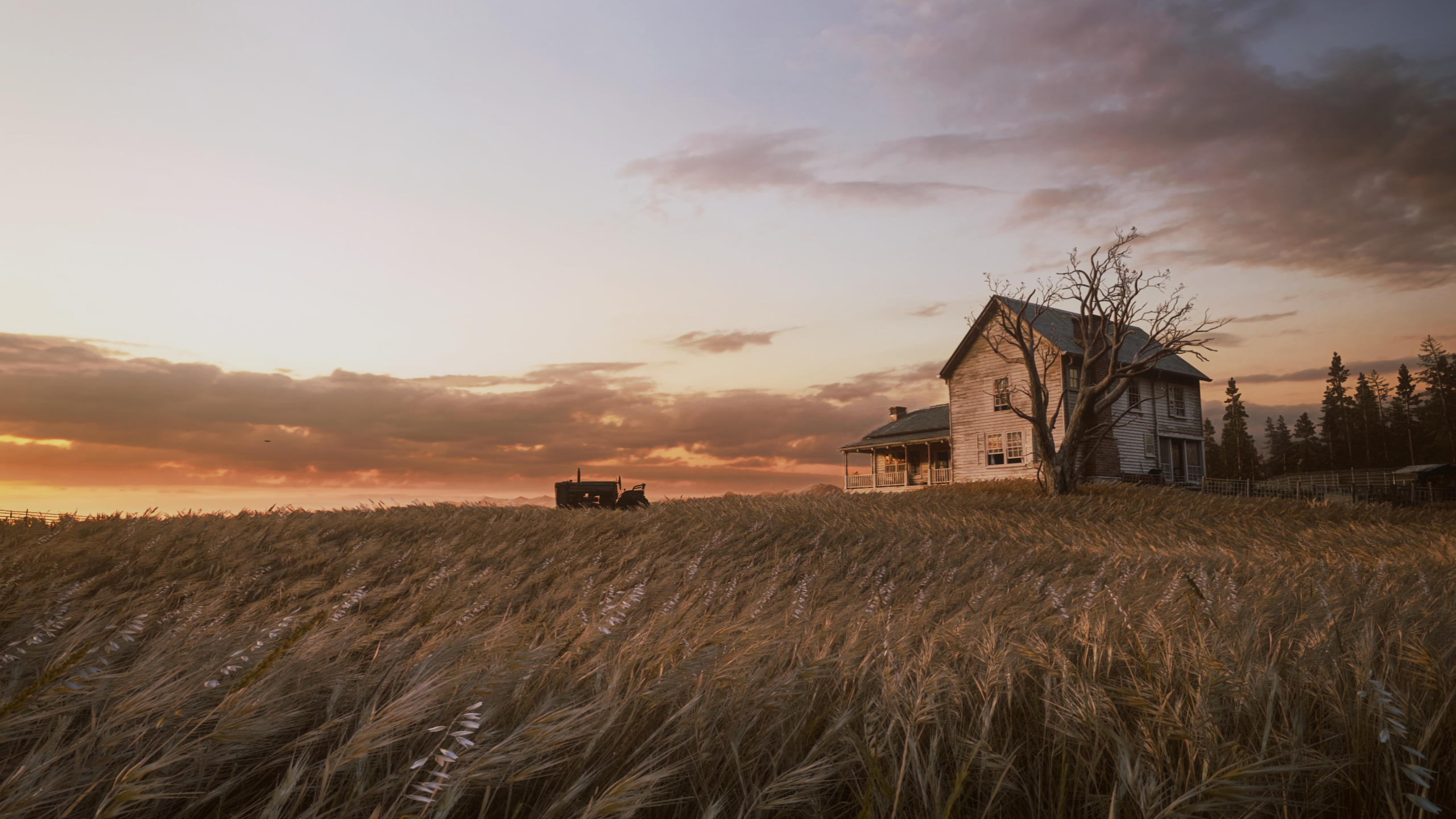 The Last of Us Part II by AlinSorin